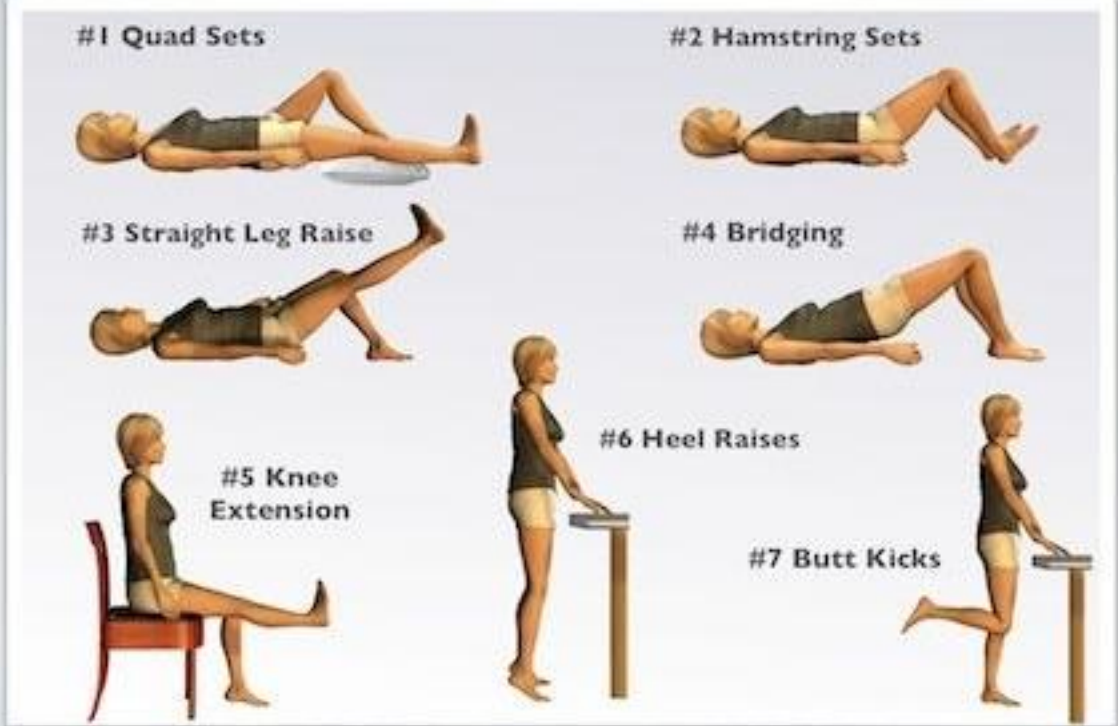 Exercise Image