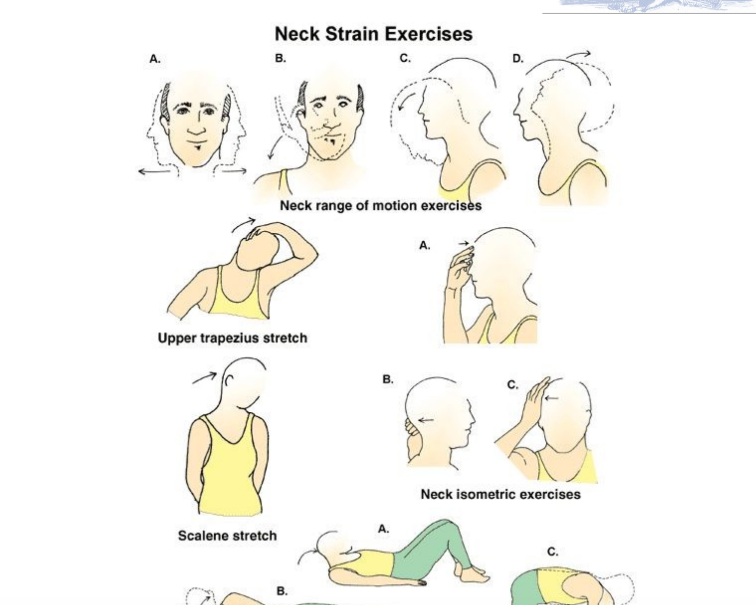 Exercise Image